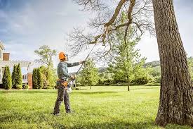 Best Hedge Trimming  in Rosemont, PA